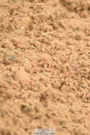 230610A-154250-04097