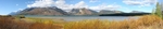 Teton in the Light