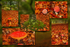Fly Agaric Quintych