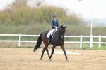SBM_007731