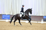 SBM_004537