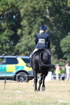 WJ7_9881
