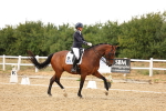 SBM_006664