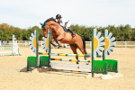 SBM_003006