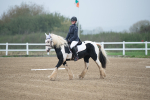 SBM_003371