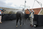 230823-Race 4-Mostahdaf-4371