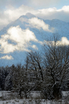 Edge of Winter