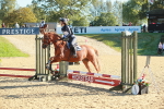 SBM_15261