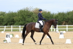 SBM_014161
