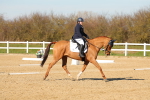 SBM_003479