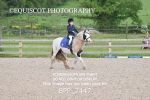 BPP_7447