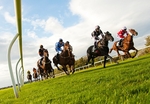 At The Races