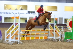 SBM_002731