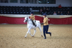 SBM_07706