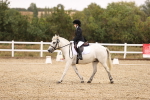 SBM_000209
