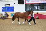 SBM_16721