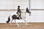 BPP_1175