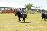 SBM_17339
