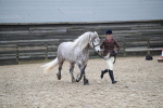 SBM_007257