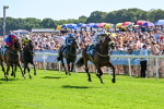 120725-Race 4-Al Qareem-0330