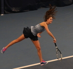 AEGON BRITISH TOUR JAN 2016 portfolio