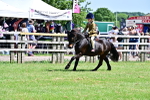 SBM_06101