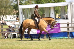 SBM_15034
