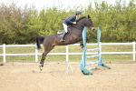 SBM_000990