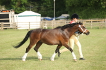 SBM_10591
