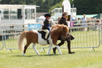 SBM_05407