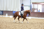 SBM_010909