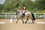 SBM_009497