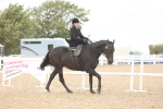 SBM_18231