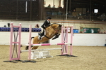 AJG_0953_1