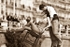 Last Tango In Brighton