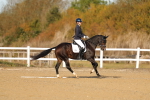 SBM_009221