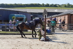 _DSC0565