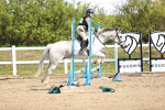 SBM_001244