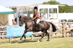 SBM_18629