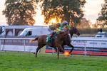 140826-Race 6-Recobella-1737