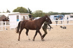 SBM_10386