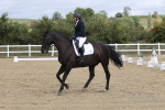 SBM_002941