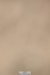 240323A-104502-01437