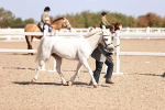 SBM_22786