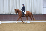 SBM_000232