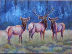 Heres What is in Galleries portfolio