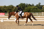 SBM_006895