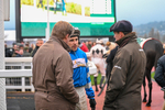 151125-Race 7-Divine Diva-4653
