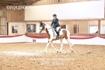BPP_8564