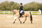 SBM_007299